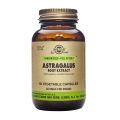 Solgar - Astrágalus extracto de raíz - 60 cápsulas vegetales